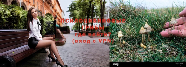 ГАЛЛЮЦИНОГЕННЫЕ ГРИБЫ Магас