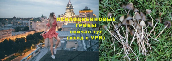 ГАЛЛЮЦИНОГЕННЫЕ ГРИБЫ Магас