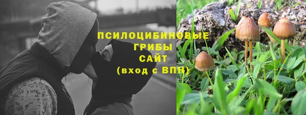 ГАЛЛЮЦИНОГЕННЫЕ ГРИБЫ Магас