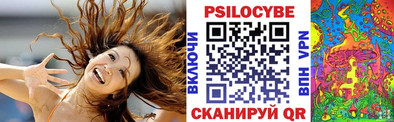 где купить наркотик  hydra ссылка  Псилоцибиновые грибы мухоморы  Нальчик 