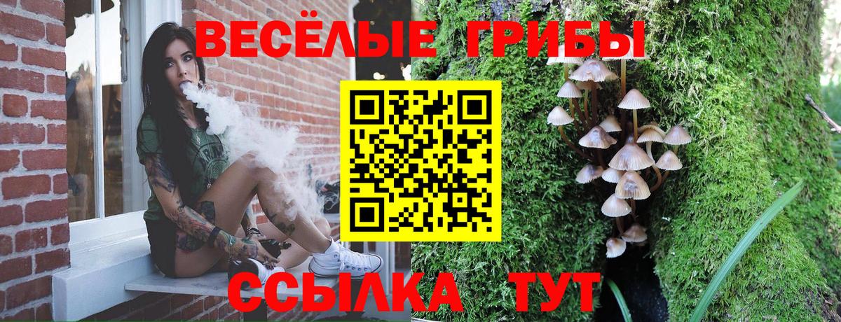 Галлюциногенные грибы мухоморы Нальчик