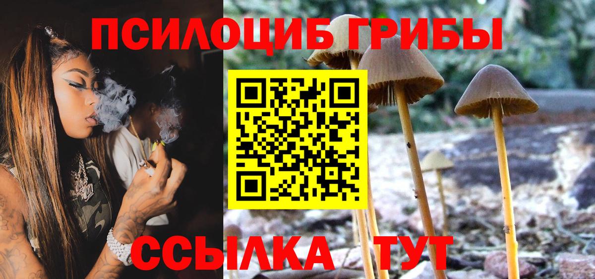 Нальчик  Галлюциногенные грибы Magic Shrooms  Вход с VPN 