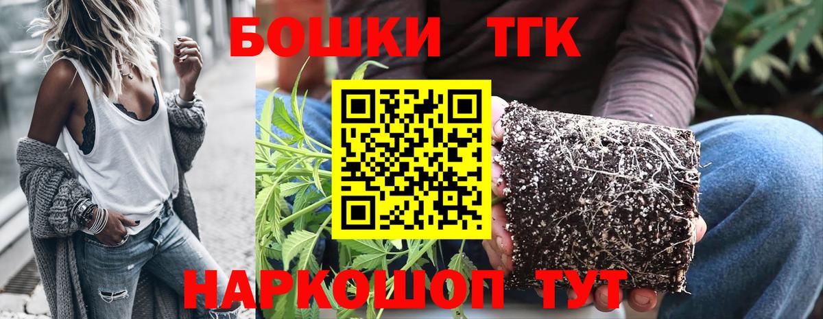 Каннабис индика Нальчик